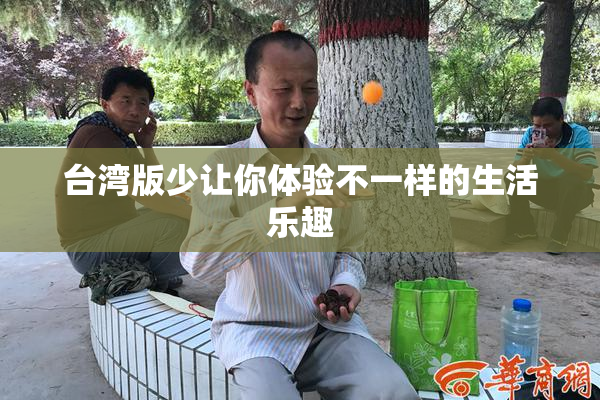 台湾版少让你体验不一样的生活乐趣