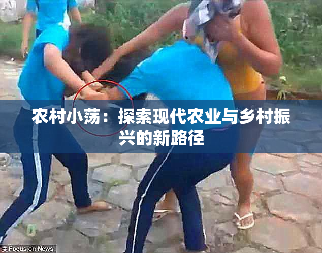 农村小荡：探索现代农业与乡村振兴的新路径