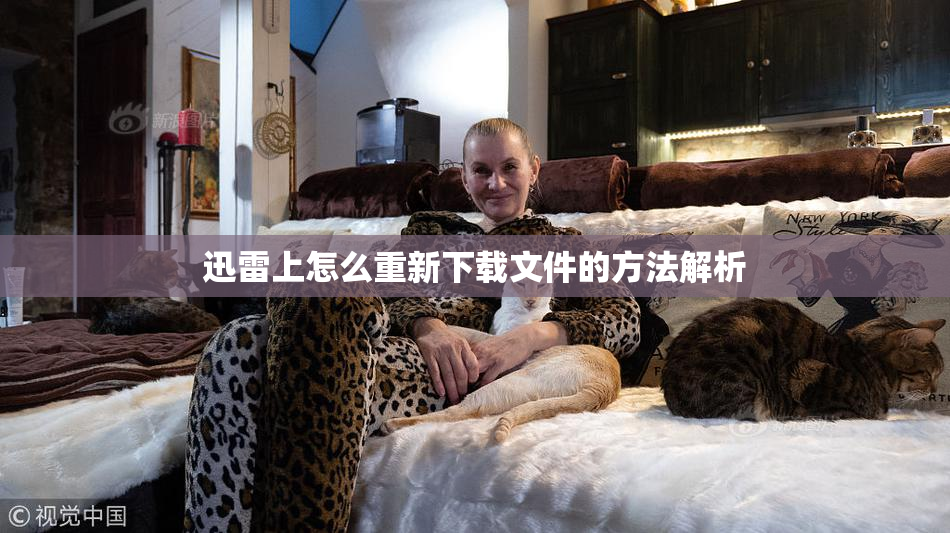 迅雷上怎么重新下载文件的方法解析