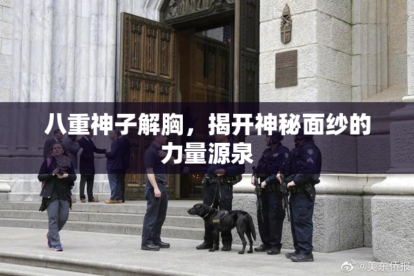八重神子解胸，揭开神秘面纱的力量源泉