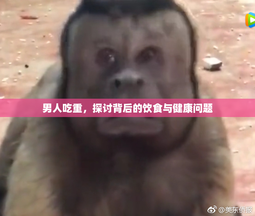 男人吃重，探讨背后的饮食与健康问题