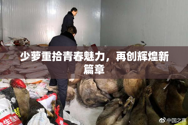 少萝重拾青春魅力，再创辉煌新篇章