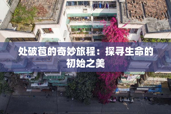 处破苞的奇妙旅程：探寻生命的初始之美
