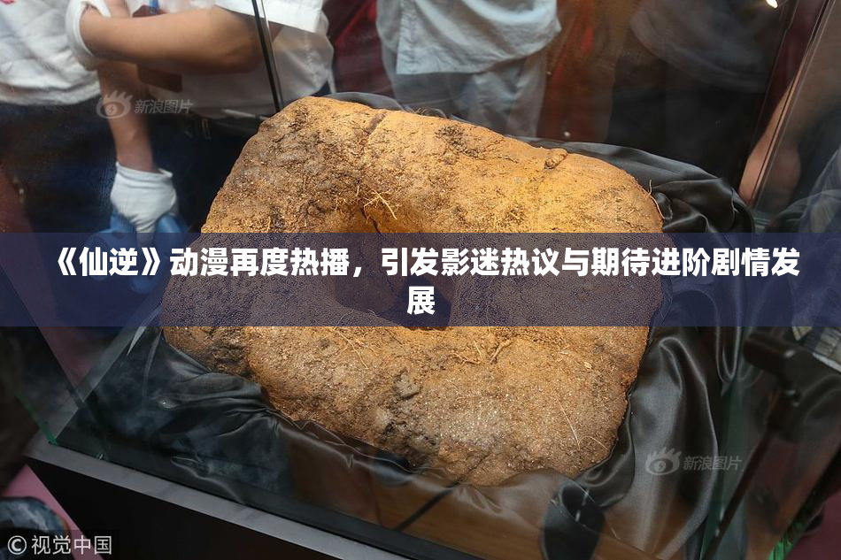 《仙逆》动漫再度热播，引发影迷热议与期待进阶剧情发展