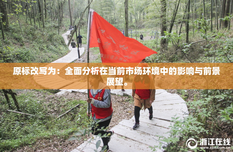 原标改写为：全面分析在当前市场环境中的影响与前景展望。