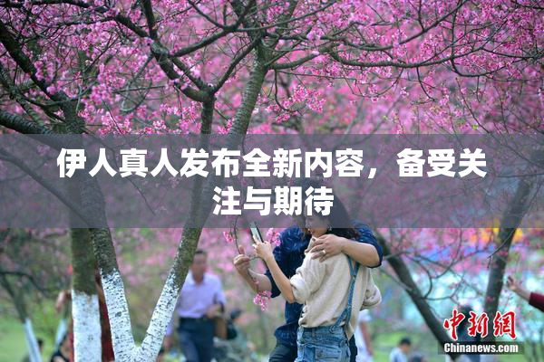 伊人真人发布全新内容，备受关注与期待