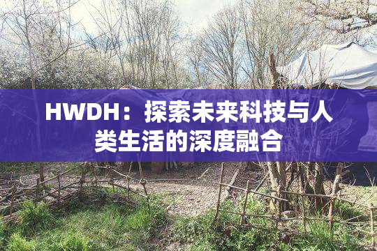 HWDH：探索未来科技与人类生活的深度融合