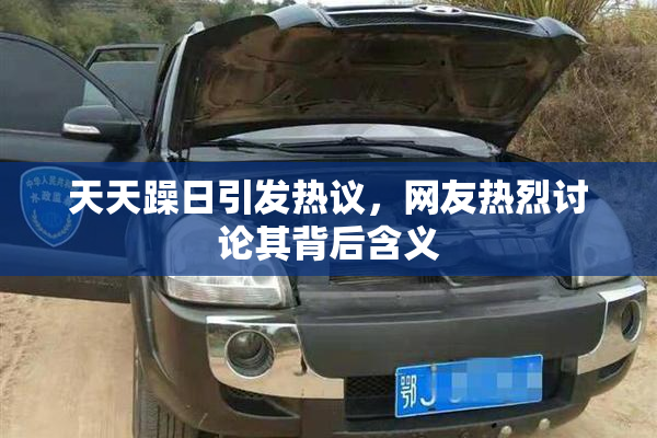 天天躁日引发热议，网友热烈讨论其背后含义