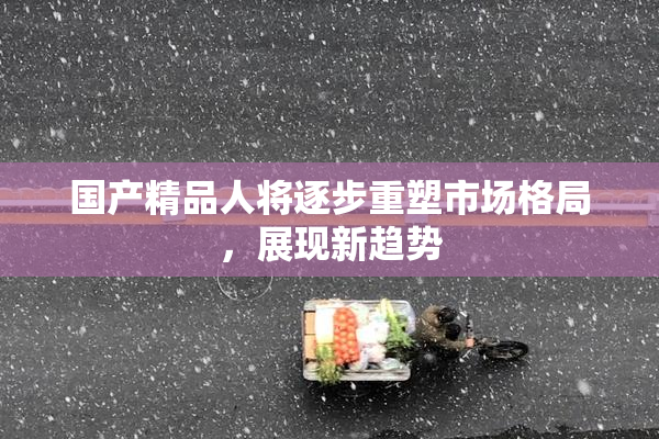 国产精品人将逐步重塑市场格局，展现新趋势