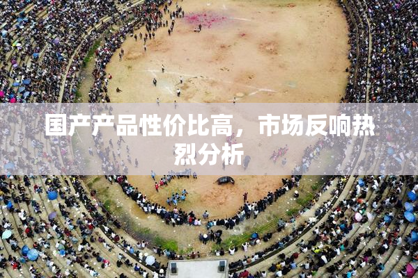国产产品性价比高，市场反响热烈分析