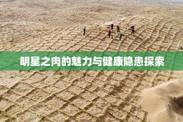 明星之肉的魅力与健康隐患探索