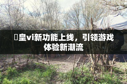 嘼皇vi新功能上线，引领游戏体验新潮流