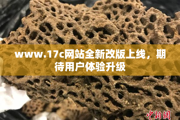 www.17c网站全新改版上线，期待用户体验升级