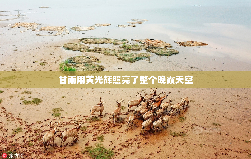 甘雨用黄光辉照亮了整个晚霞天空