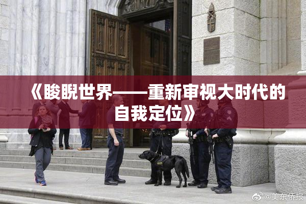 《睃睨世界——重新审视大时代的自我定位》