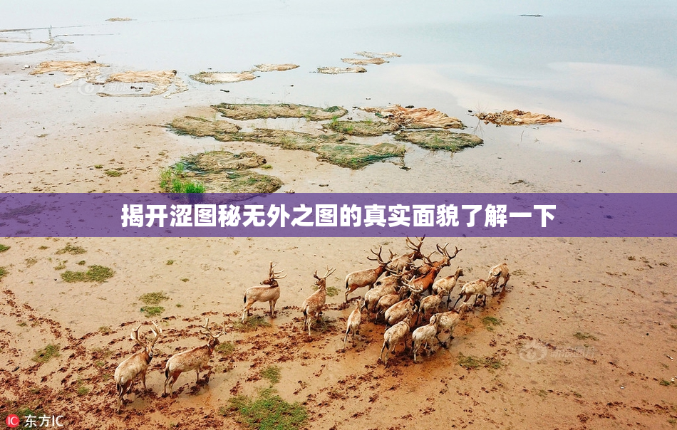 揭开涩图秘无外之图的真实面貌了解一下
