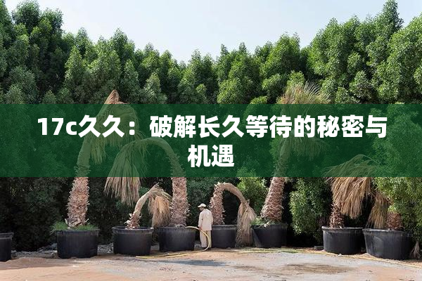 17c久久：破解长久等待的秘密与机遇
