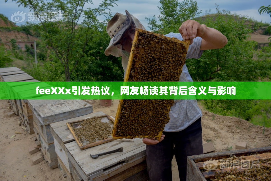 feeXXx引发热议，网友畅谈其背后含义与影响