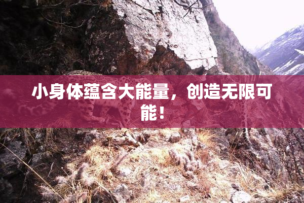 小身体蕴含大能量，创造无限可能！