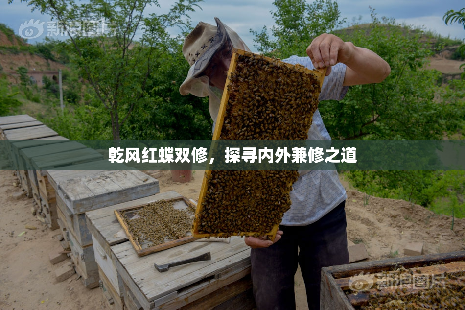 乾风红蝶双修，探寻内外兼修之道