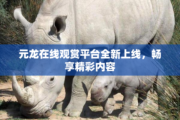 元龙在线观赏平台全新上线，畅享精彩内容