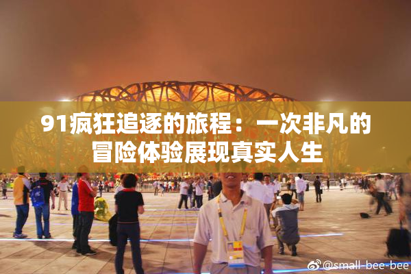 91疯狂追逐的旅程：一次非凡的冒险体验展现真实人生