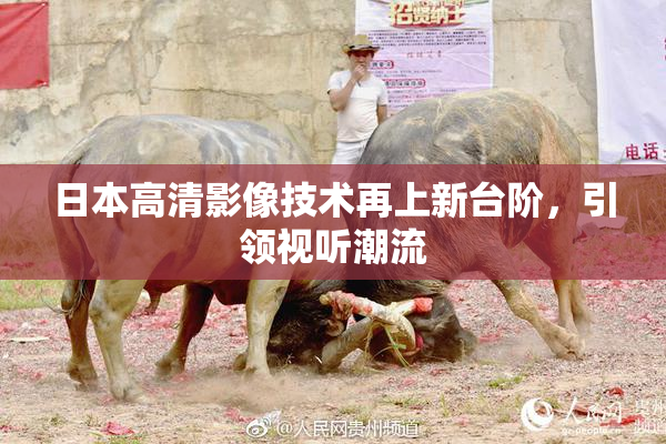 日本高清影像技术再上新台阶，引领视听潮流