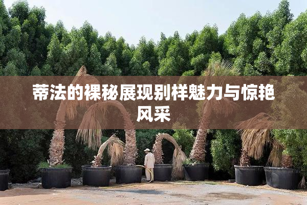蒂法的裸秘展现别样魅力与惊艳风采