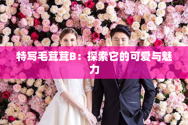 特写毛茸茸B：探索它的可爱与魅力