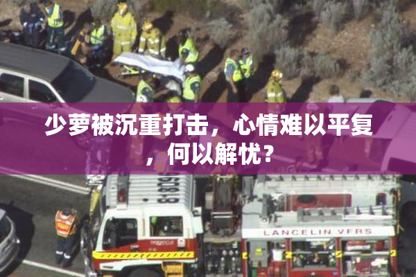 少萝被沉重打击，心情难以平复，何以解忧？