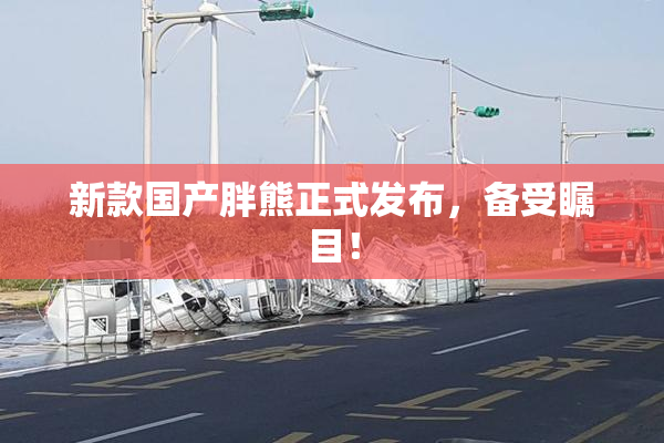 新款国产胖熊正式发布，备受瞩目！