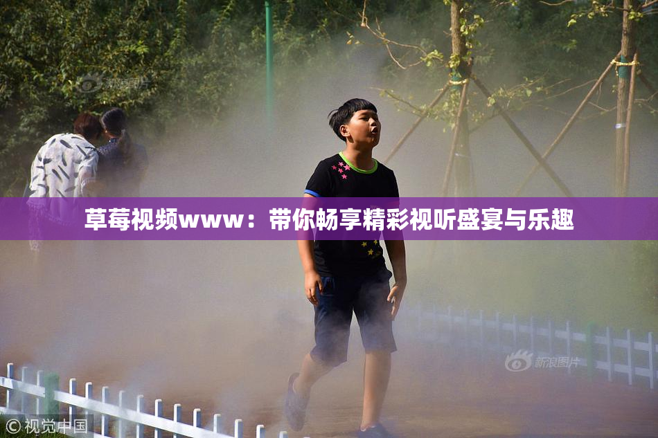 草莓视频www：带你畅享精彩视听盛宴与乐趣
