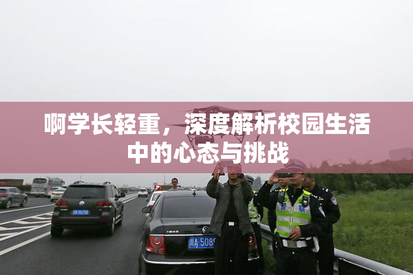 啊学长轻重，深度解析校园生活中的心态与挑战
