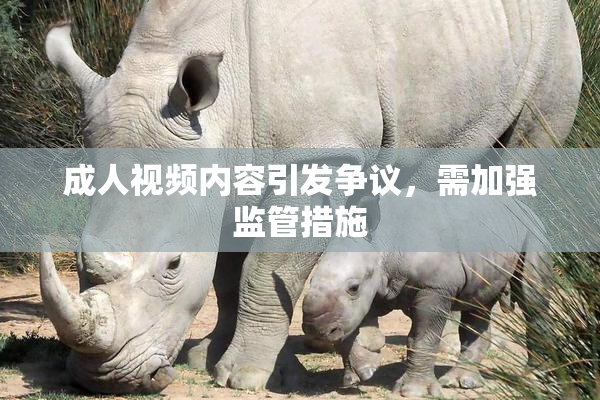 成人视频内容引发争议，需加强监管措施