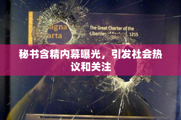 秘书含精内幕曝光，引发社会热议和关注