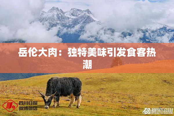 岳伦大肉：独特美味引发食客热潮