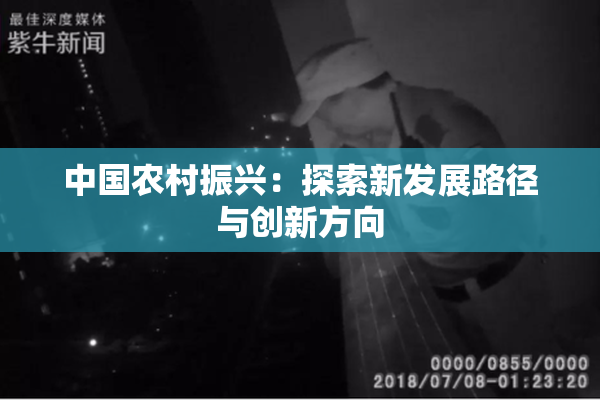 中国农村振兴：探索新发展路径与创新方向
