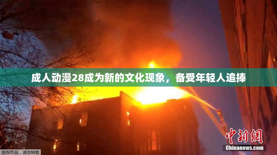 成人动漫28成为新的文化现象，备受年轻人追捧