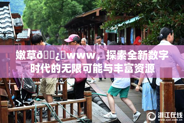 嫩草🌿‌www，探索全新数字时代的无限可能与丰富资源
