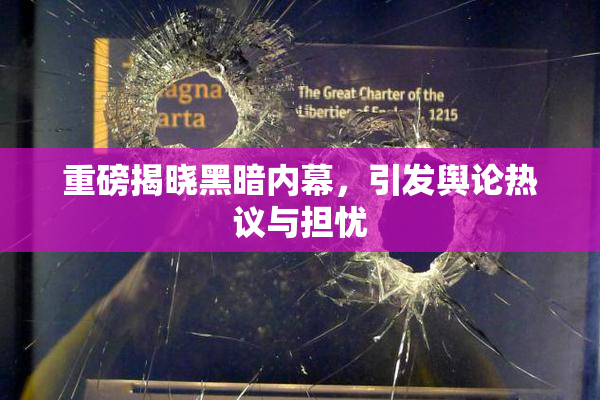 重磅揭晓黑暗内幕，引发舆论热议与担忧