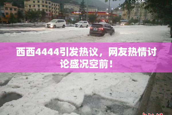 西西4444引发热议，网友热情讨论盛况空前！