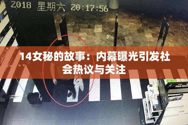 14女秘的故事：内幕曝光引发社会热议与关注