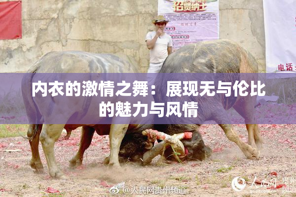 内衣的激情之舞：展现无与伦比的魅力与风情