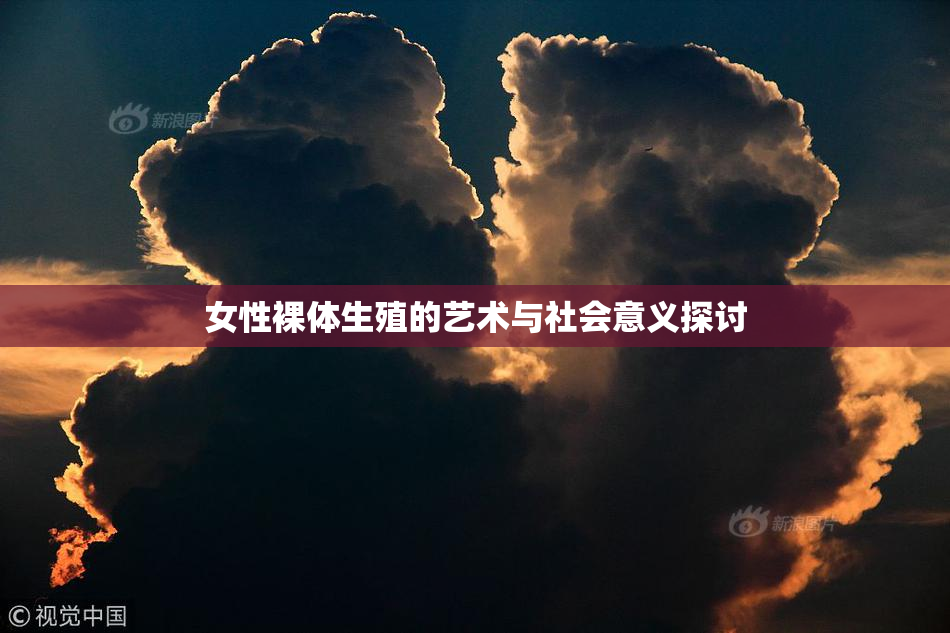 女性裸体生殖的艺术与社会意义探讨