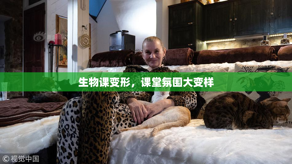 生物课变形，课堂氛围大变样