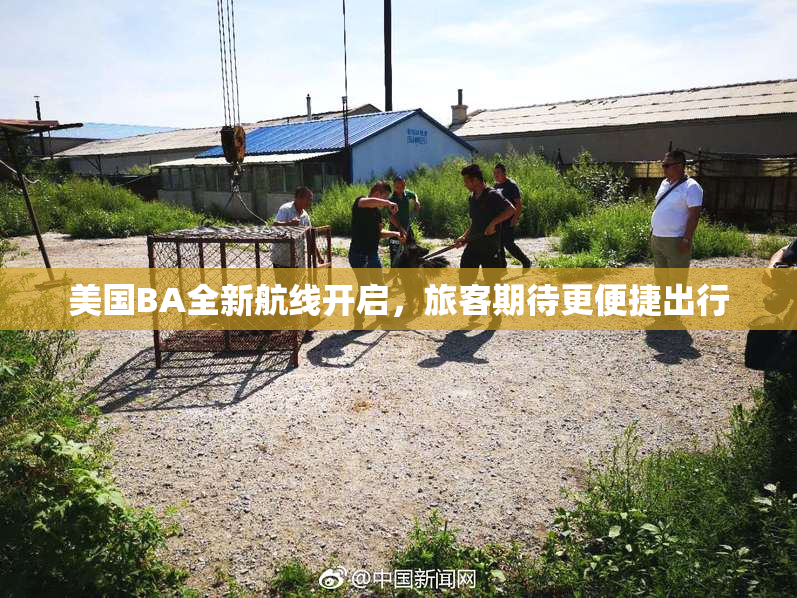 美国BA全新航线开启，旅客期待更便捷出行