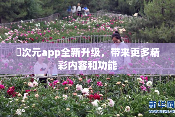 囧次元app全新升级，带来更多精彩内容和功能