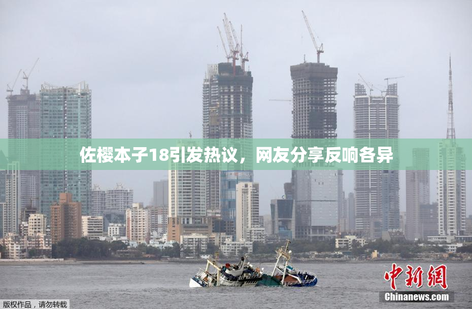 佐樱本子18引发热议，网友分享反响各异