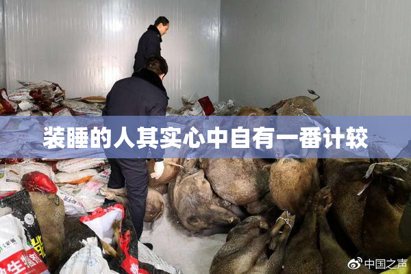 装睡的人其实心中自有一番计较