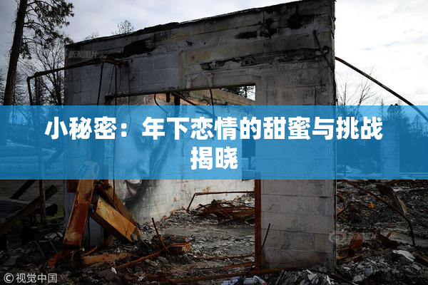 小秘密：年下恋情的甜蜜与挑战揭晓